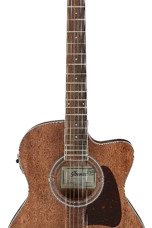 Profitez-en - Ibanez AC340CE-OPN Open Pore Natural