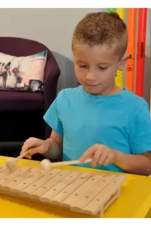 Xylophone en Bois D'erable | Tout juste ajouté