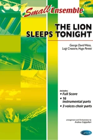 The Lion Sleeps Tonight Ensemble-1 - Retour gratuit