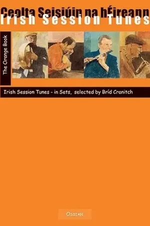 Promo exceptionnelle - Irish Session Tunes The Orange Book Flute-1