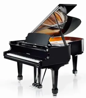 W.hoffmann P206 | Prix malin
