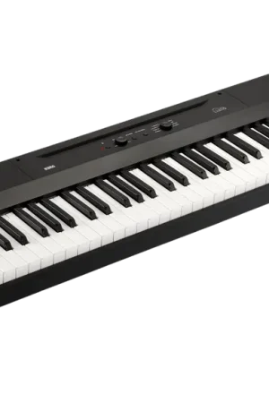 Korg L1-BK | Affaire à saisir