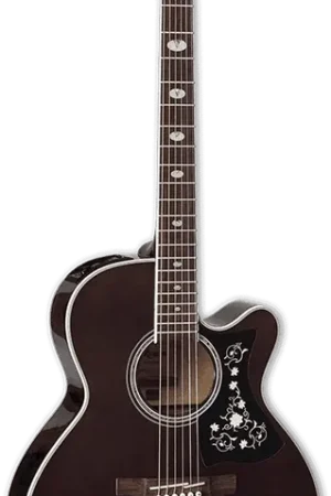 Coup de cœur des clients - Takamine GN75CETBK 70 Cutaway Electro Transparent Black