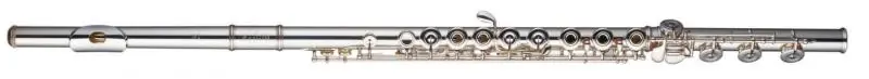 Très bien noté | Flute Traversiere Sankyo CF301