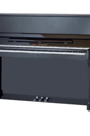 Livraison express - Wilh Steinberg P118 Noir Brillant Chrome