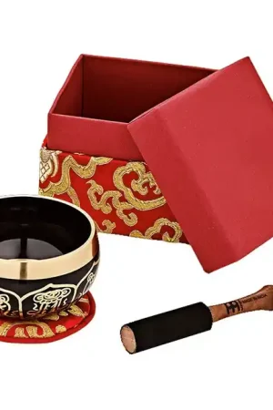 Meinl Sonic Energy Singing Bowl SBOR300R | Achetez dès maintenant