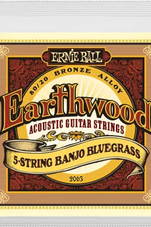 Nouveauté | Jeu de Cordes Banjo Ernie Ball 2063 Arthwood 5 Cordes Banjo 9-9