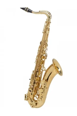 Saxophone Tenor Selmer Axos | Liquidation