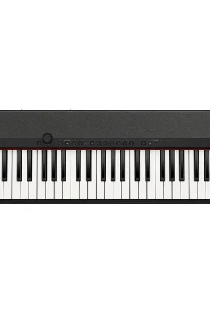 Commandez dès maintenant - Casio CT-S1BK