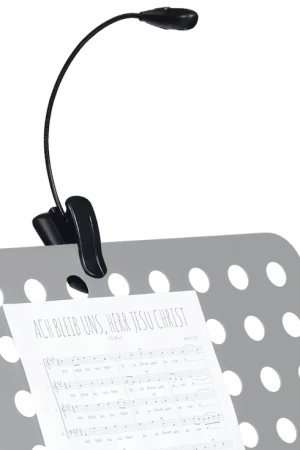 Rtx LP1L | Premium