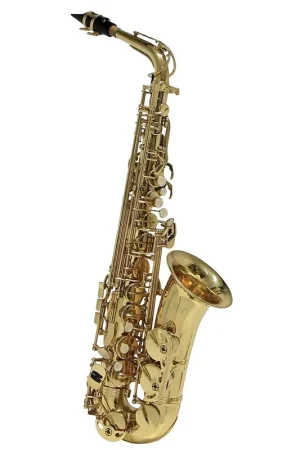 Saxophone Alto Conn AS-650 | Prix en baisse