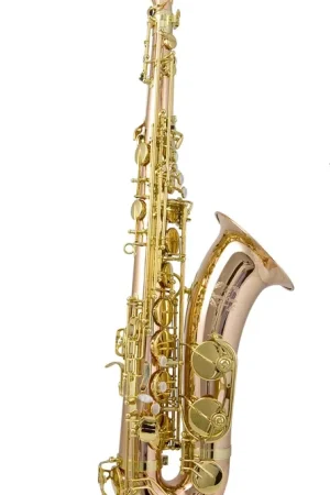Saxophone Tenor Trevor James Signature Custom Bronze - Offre limitée