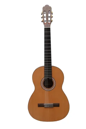 Prodipe Primera 4/4 - Nouveau en boutique