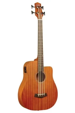 Disponible maintenant - Gold Tone Micro Bass 25