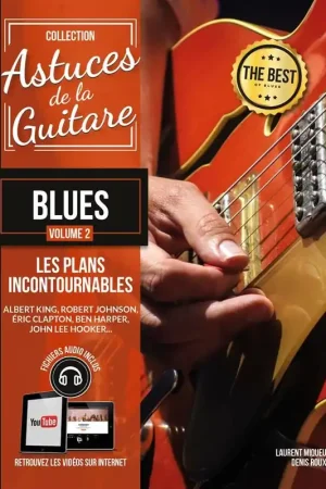 Bonne affaire - Roux D. Astuces de la Guitare Blues Vol 2