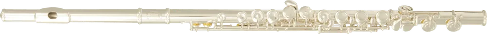 Tout juste arrivé | Flute Traversiere Sml FL300E