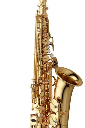 Yanagisawa Professional Laiton Verni - Déstockage