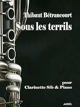 Offre du jour - Betrancourt T. Sous Les Terrils Clarinette