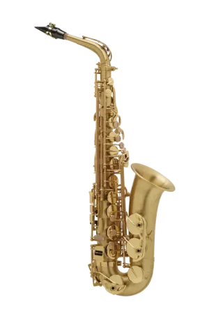 Offre exclusive - Saxophone Alto SA80 Action Serie II Brossé