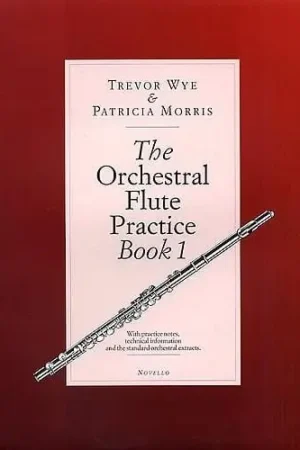 Vente flash - Wye T./morris P. The Orchestral Flute Practice Book 1