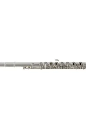 Profitez-en maintenant | Flute Traversière Trevor James Privilège III
