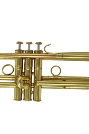 Économisez maintenant | Trompette Sib Carolbrass Pro Jazz Lead 5L