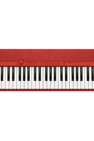 Prix choc - Casio CT-S1RD