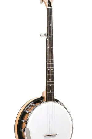 Banjo 5 Cordes Gold Tone CC-100R Cripplecreek Resonator | Qualité premium
