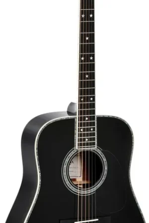 Disponible maintenant | Sigma DT-42-Nashville Edition Speciale