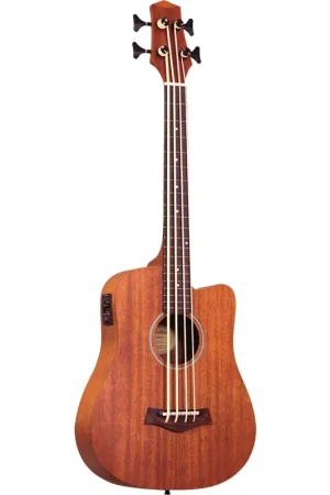 Tout nouveau | Gold Tone M-BASS/FL Micro Bass 23" Ftl