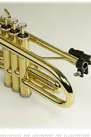 Berp Embouchure Trompette | Dépêchez-vous