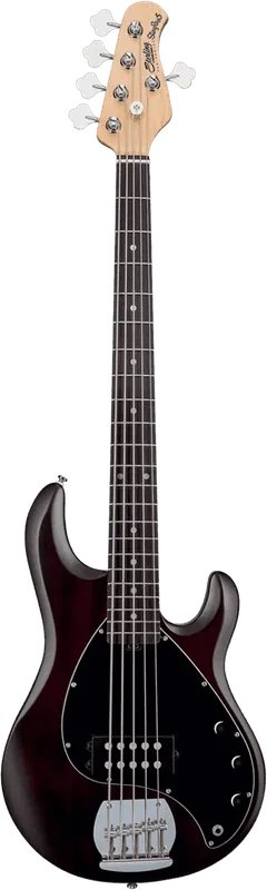 Offre exclusive - Sterling BY Music Man RAY5-WS-R1 STINGRAY5 Walnut Satin