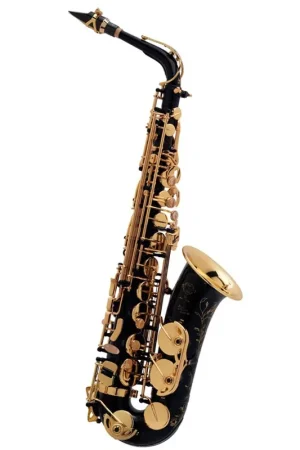 Saxophone Alto Selmer SA80 Serie II Noir - Direct usine