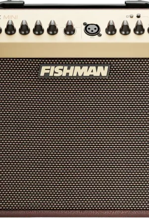 Promo exceptionnelle | Ampli Fishman Loudbox PRO-LBT-500
