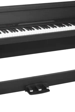 Best-seller - Korg LP380U-RWBK