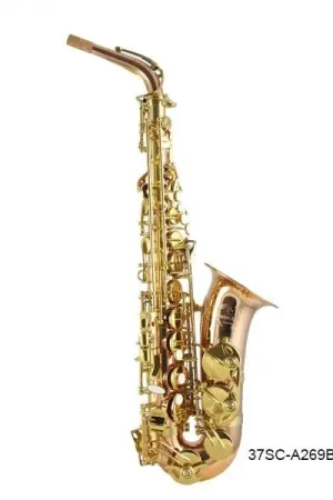 Expédition immédiate | Saxophone Alto Trevor James Signature Custom Phosphore Bronze