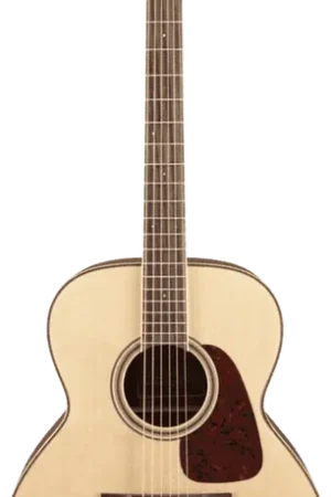 Takamine GN93-NAT Naturel - Ne manquez pas cette offre