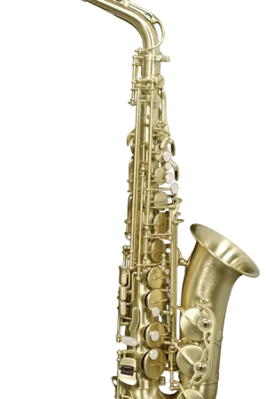 Paiement sécurisé - Saxophone Alto Sml Paris A420II-BM Vernie Brosse