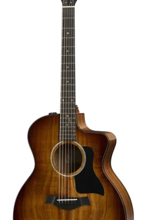 Taylor 224CE-K Dlx - Prix promo