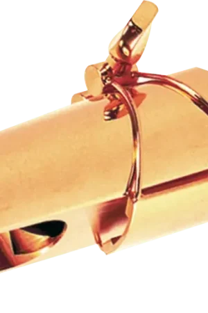 Cette semaine uniquement - Bec Alto Brancher J17AG OR 24K J17