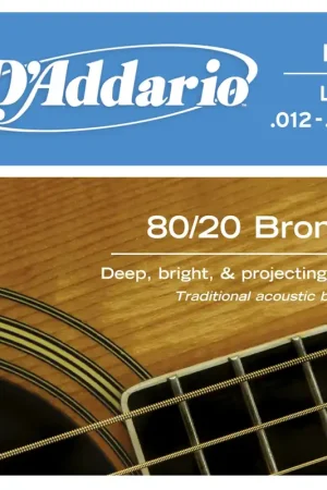 Prix cassé | Jeu de Cordes Acoustique D'addario EJ11 Bronze 12/53