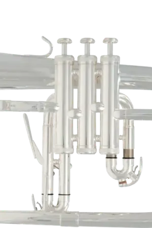 Bugle Sml Prime BU600S - Bon plan