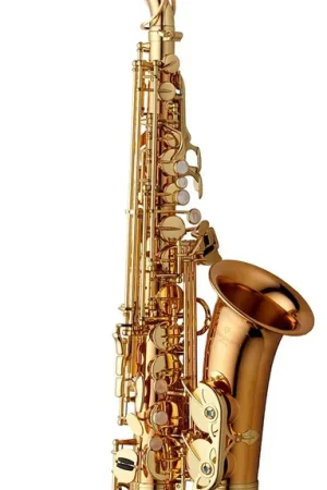 Disponible à la commande | Yanagisawa Professional Bronze non Verni