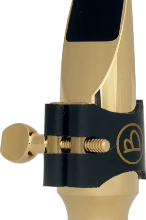 Bec Soprano Brancher J17SG OR 24K J17 - Prix doux