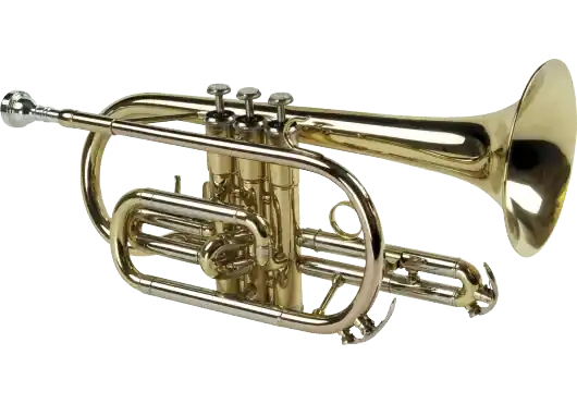 Cornet Sml Prime CO50 - Coup de cœur des clients