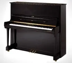 C.bechstein Concert 8 Vario Duet | Incontournable