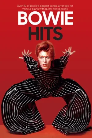 Bowie David Hits PVG | Qualité professionnelle