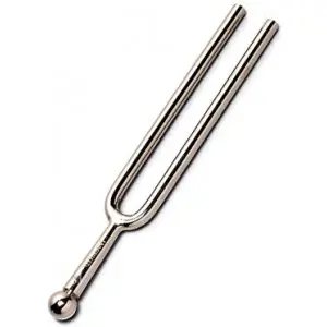 Recommandé - Diapason Wittner la 440HZ