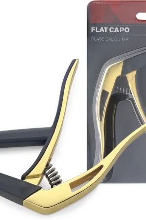 Nouveau chez nous - Capodastre Stagg SCPX-FL GD Gold