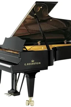 Prix spécial | C.bechstein D-282